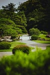 Landscaped garden with winding path, trimmed shrubs, and lush greenery showcasing residential and commercial landscaping expertise in Elm Grove