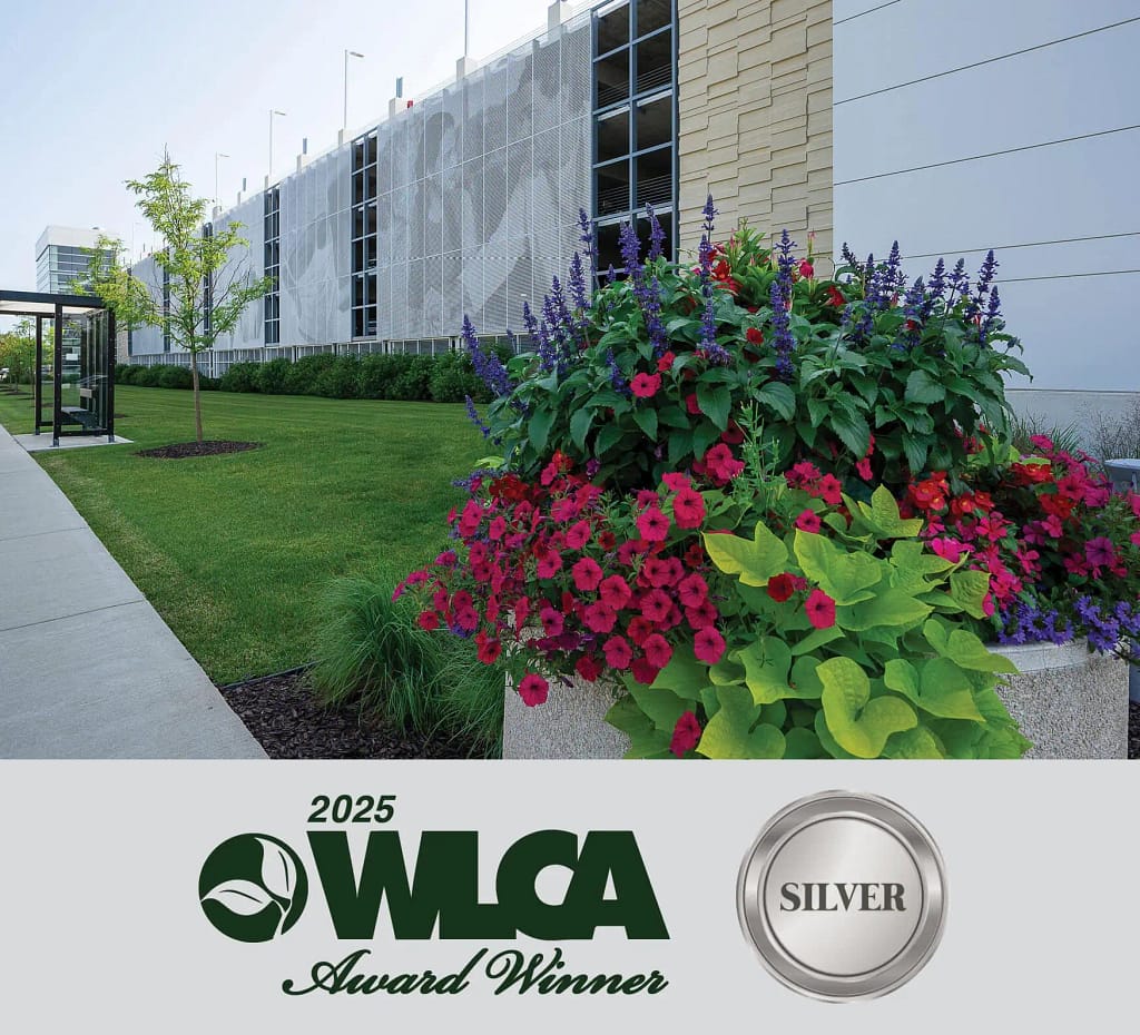 MRMC seasonal colorscaping