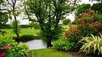 Lush landscaped garden with a pond, mature trees, colorful shrubs, and manicured lawn in Fox Point.