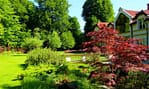Beautifully landscaped luxury home featuring a lush green lawn, ornamental Japanese maple, and professionally designed garden by David J. Frank Landscape Contracting.