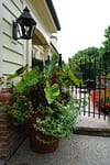 Residential Seasonal Color