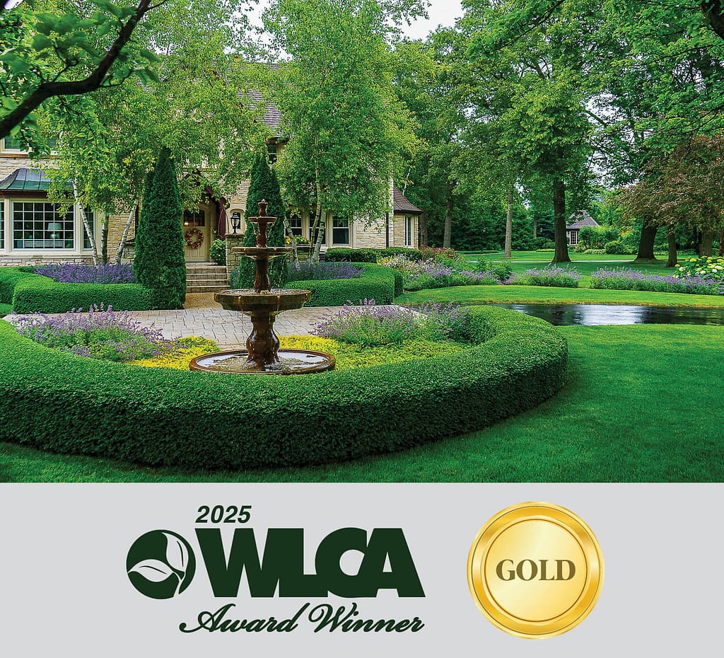 Layered Harmony garden maintenance