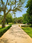 Landscaped walkway with mature trees, trimmed hedges, and green lawn in Sun Prairie.