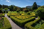Manicured garden landscape with trimmed hedges, flower beds, and open lawn for Kenosha homes and businesses.