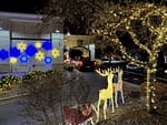 Reindeer, lights, and a snowflake scene create a beautiful holiday view for all guests to enjoy.