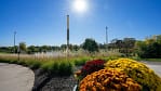 Repetitive planter color change-outs for commercial landscape maintenance at medical center