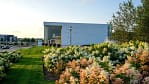 Seasonal color and blooming hydrangeas turn the museum’s front entry into a showpiece of public landscape maintenance.