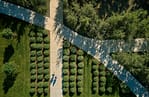 Overhead view highlights intentional plant layering and walkways shaped by thoughtful planning.