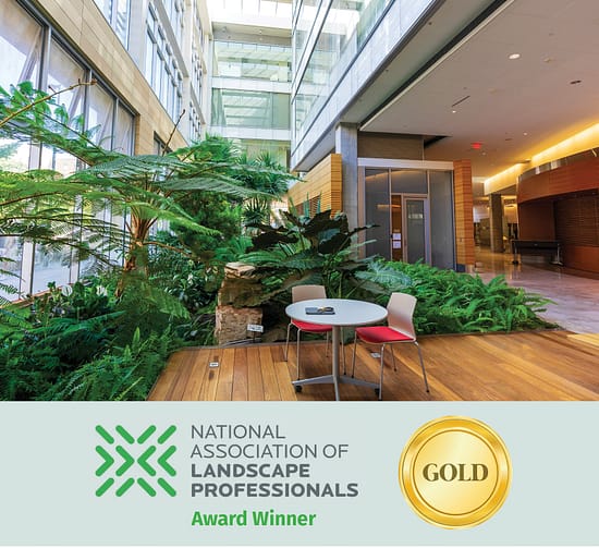 Indoor–outdoor transitional design with tropical plants and seating area, NALP Gold Award winner
