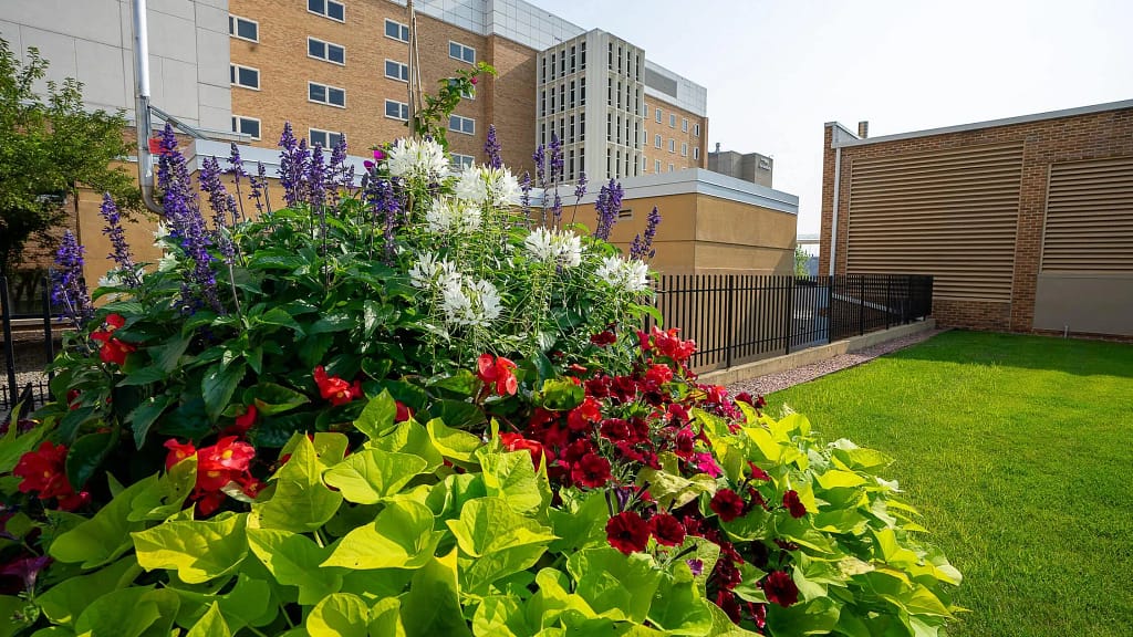 Commercial seasonal color planters with vibrant flowers near concrete hospital buildings