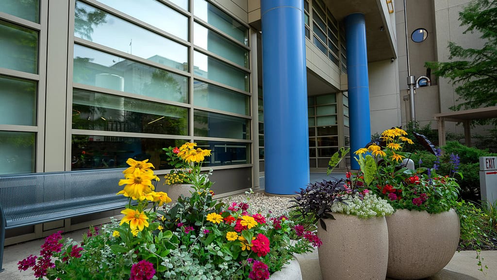 Bright planters at Children’s Hospital healing garden as part of colorscaping commercial work