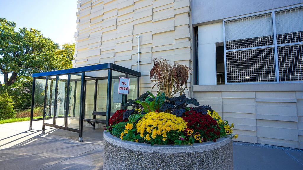 Seasonal flower planter for visual appeal at hospital bus stop as part of colorscaping commercial project