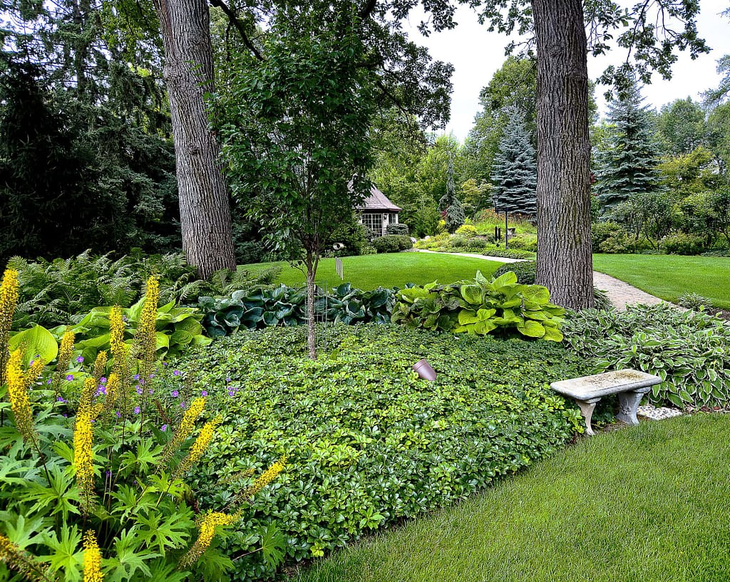 This inviting walkway flows from the back door into layered garden beds filled with blooming perennials—offering a peaceful transition into a professionally maintained outdoor retreat.