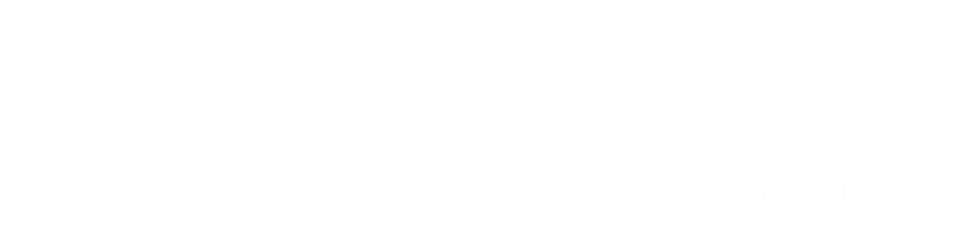 David J Frank