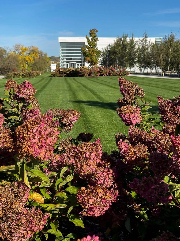 Autumn brings vivid color changes and crisp lines, thanks to consistent seasonal maintenance.