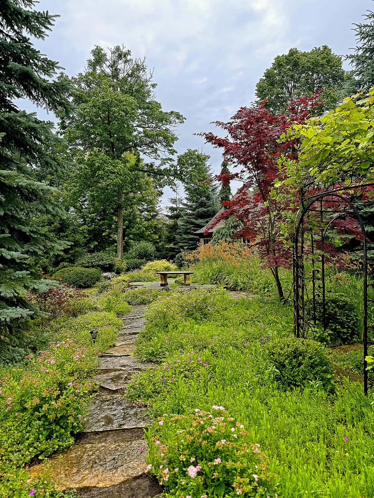 A shaded garden bed filled with geraniums, pachysandra, hostas, and manicured shrubs surrounds a trellis—demonstrating layered texture and expert shade bed design.